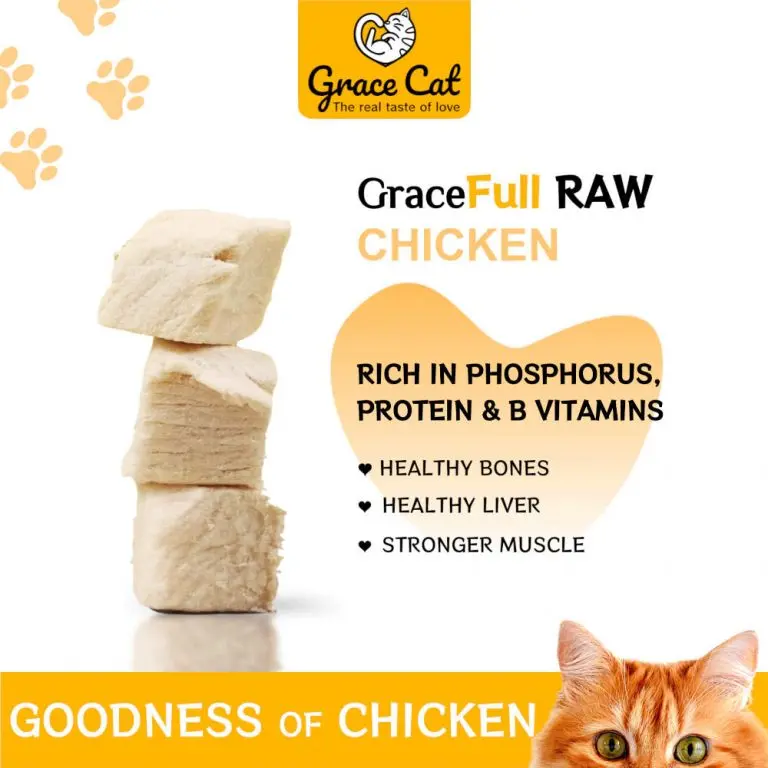 GOODNESS -CHICKEN