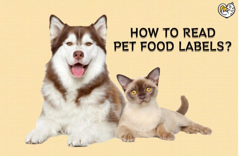 How to Read Pet Food Labels?
