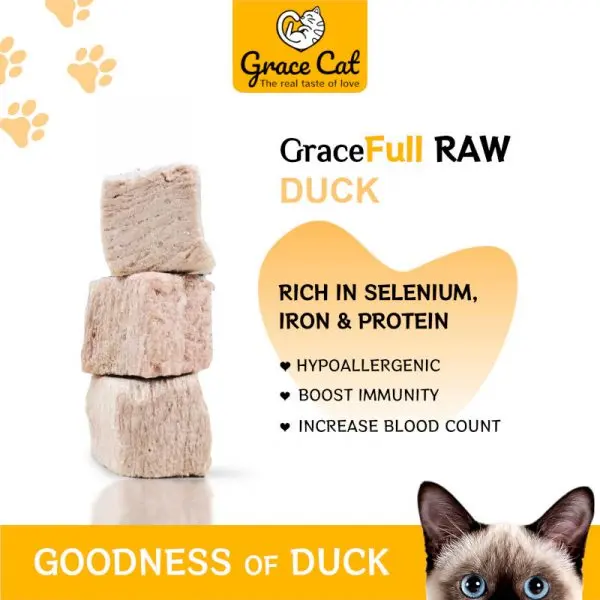 GOODNESS-DUCK GOODNESS-DUCK
