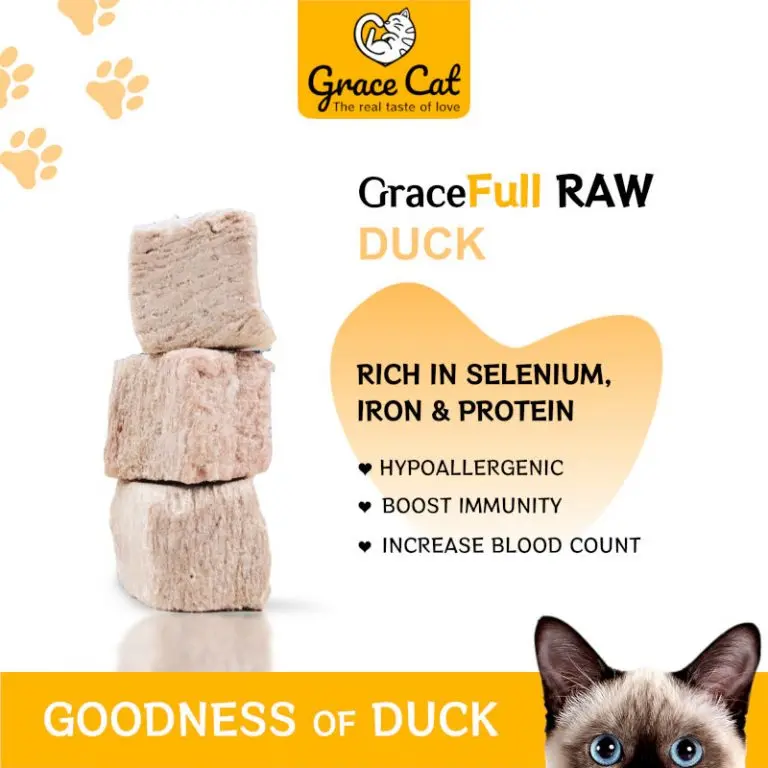 GOODNESS-DUCK