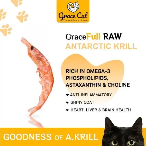 KEBAIKAN โ KRILL KEBAIKAN - KRILL