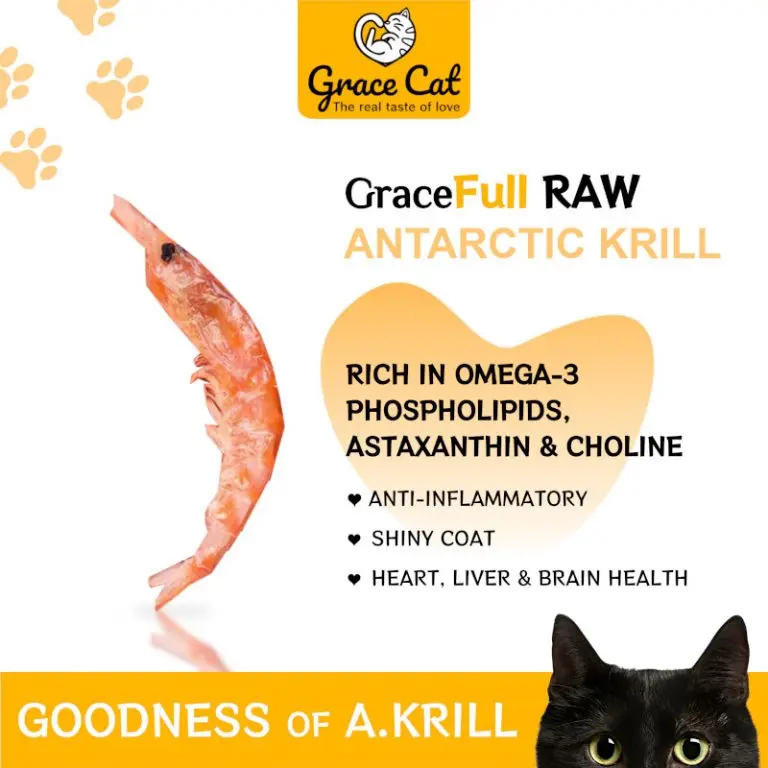 GOODNESS - KRILL