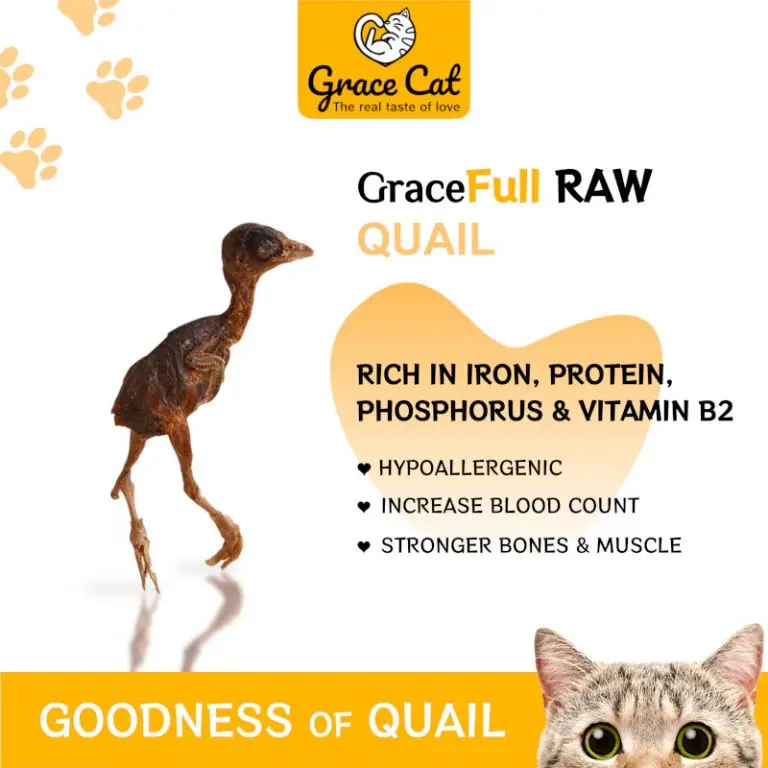 GOODNESS -QUAIL