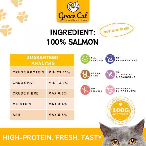 cat raw salmon