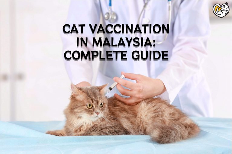 Vaksinasi Kucing di Malaysia: Panduan Lengkap