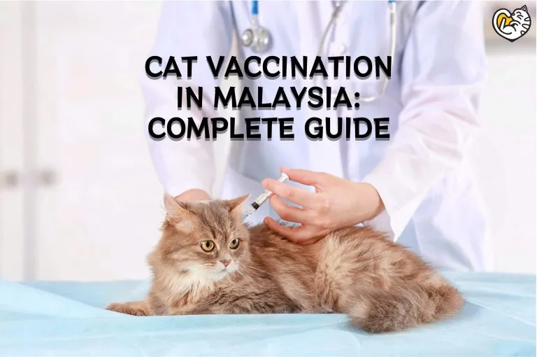 Cat Vaccination in Malaysia