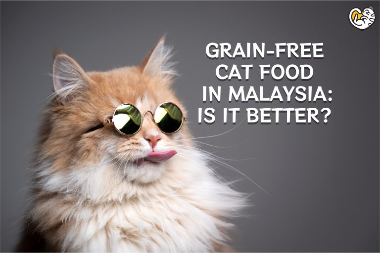 Makanan Kucing Tanpa Bijirin di Malaysia: Adakah Lebih Baik?