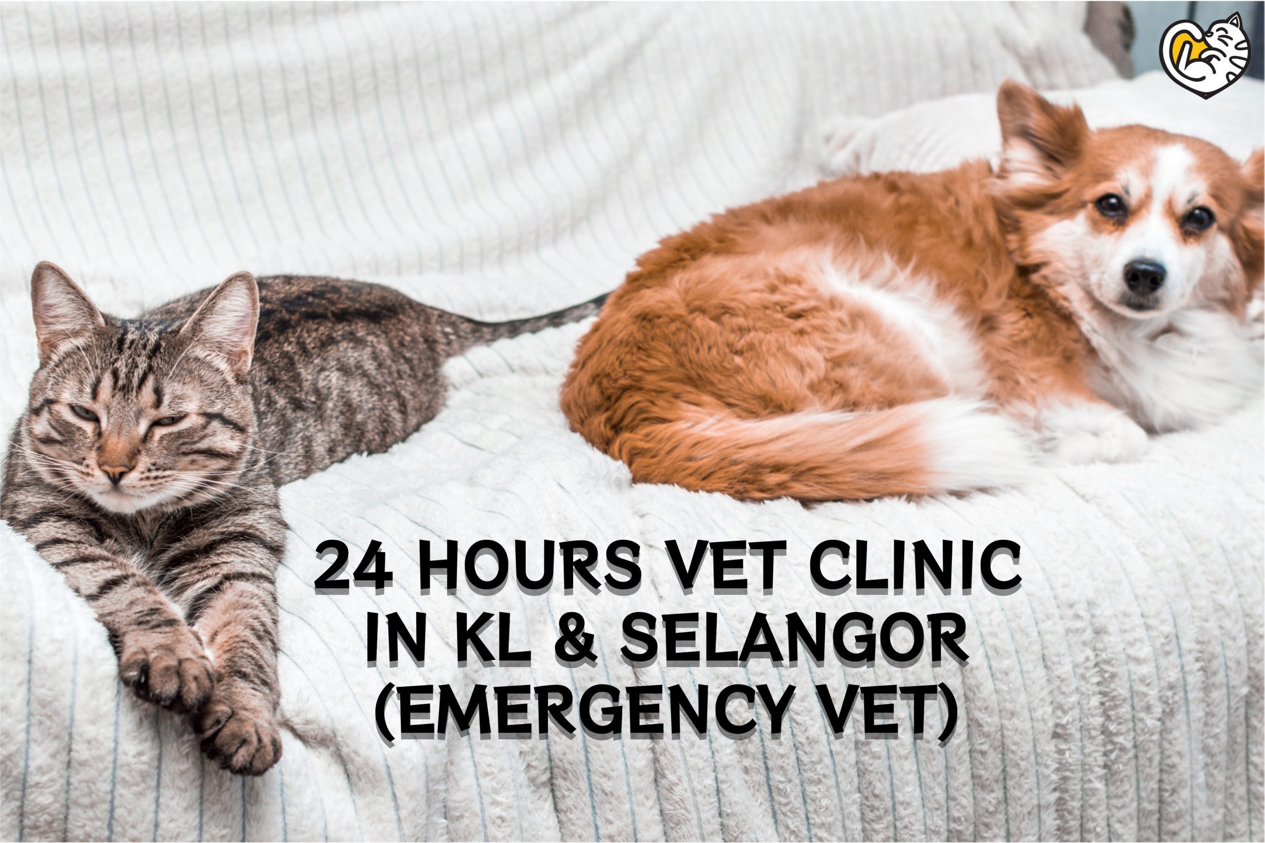 Klinik Vet 24 Jam di KL & Selangor (Termasuk Doktor Kecemasan)