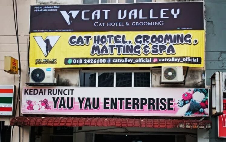 salon dandanan kucing di Puchong