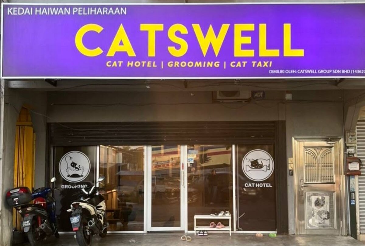 salon dandanan kucing di Lembah Klang