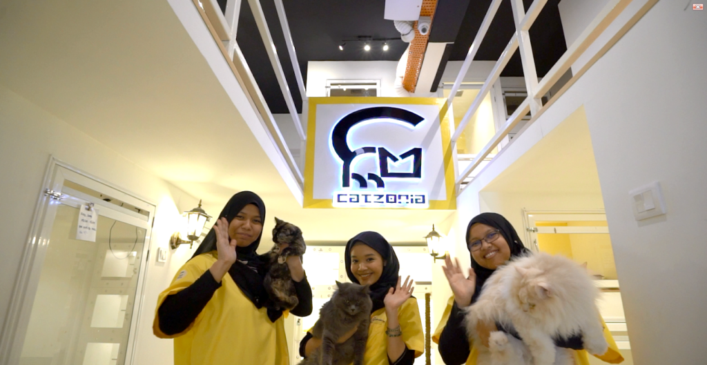 cat grooming salon in Malaysia