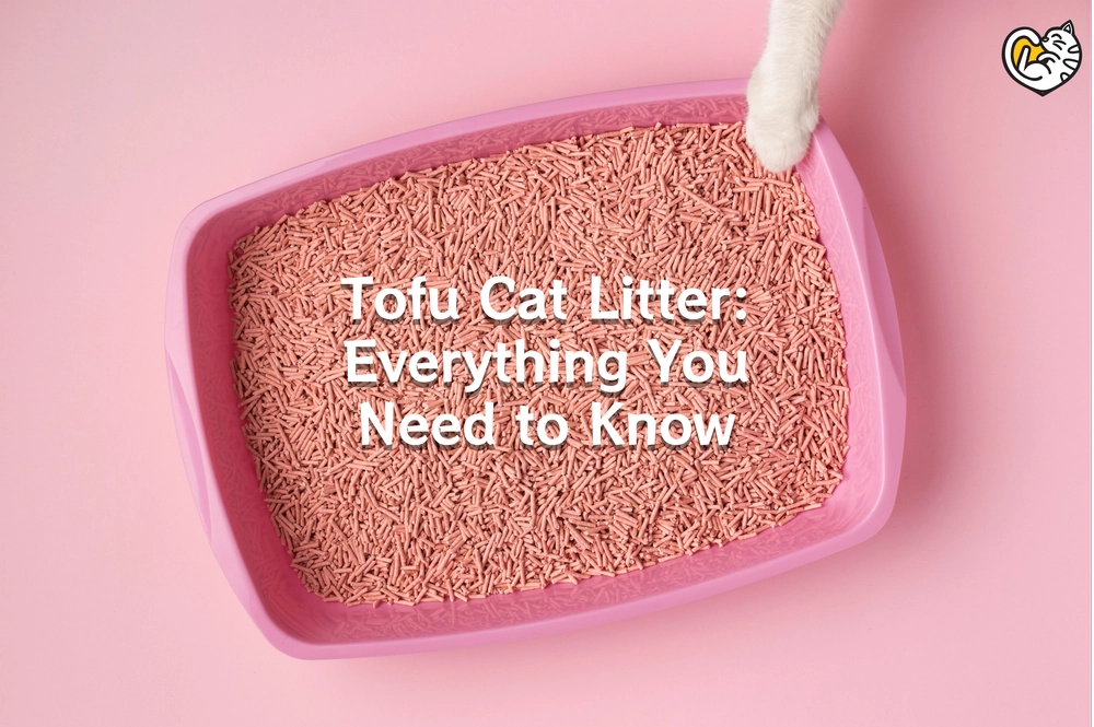 Pasir Kucing Tofu (Tofu Cat Litter): Kebaikan & Keburukan