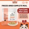 Freeze-Dried Complete Meal - Chicken Recipe