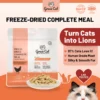 Freeze-Dried Complete Meal - Chicken Recipe