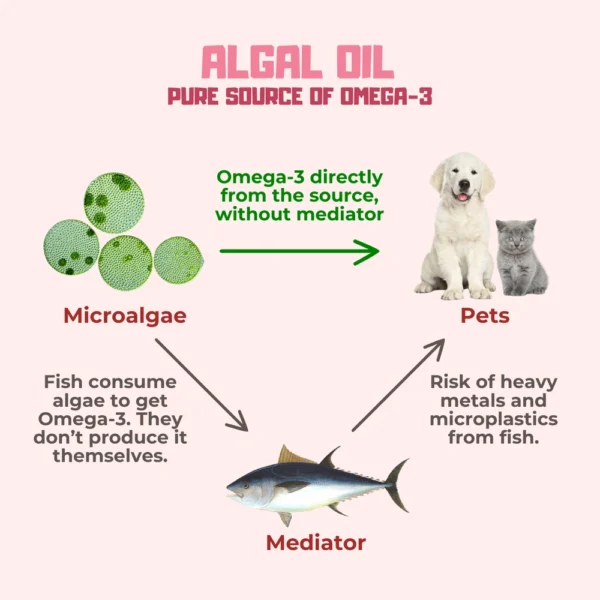 gloow omega-3 algal oil 2