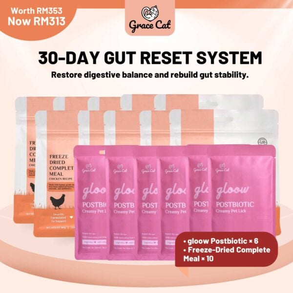 30-Day Gut Reset System