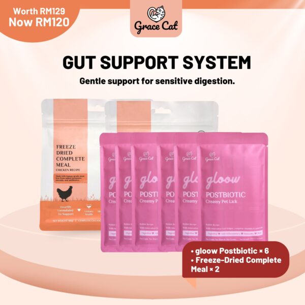 Gut Support System